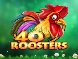 40 Roosters screenshot